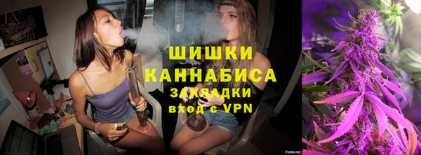 гидропоника Алзамай