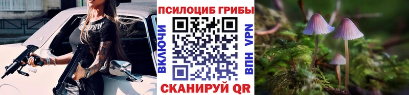 магазин  наркотиков  Стародуб  Псилоцибиновые грибы Psilocybine cubensis 