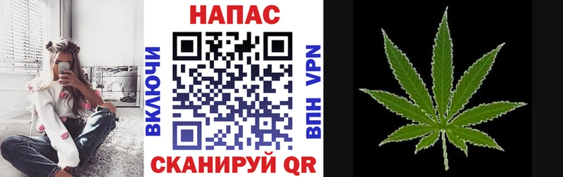 Бошки марихуана AK-47  кракен рабочий сайт  Стародуб 